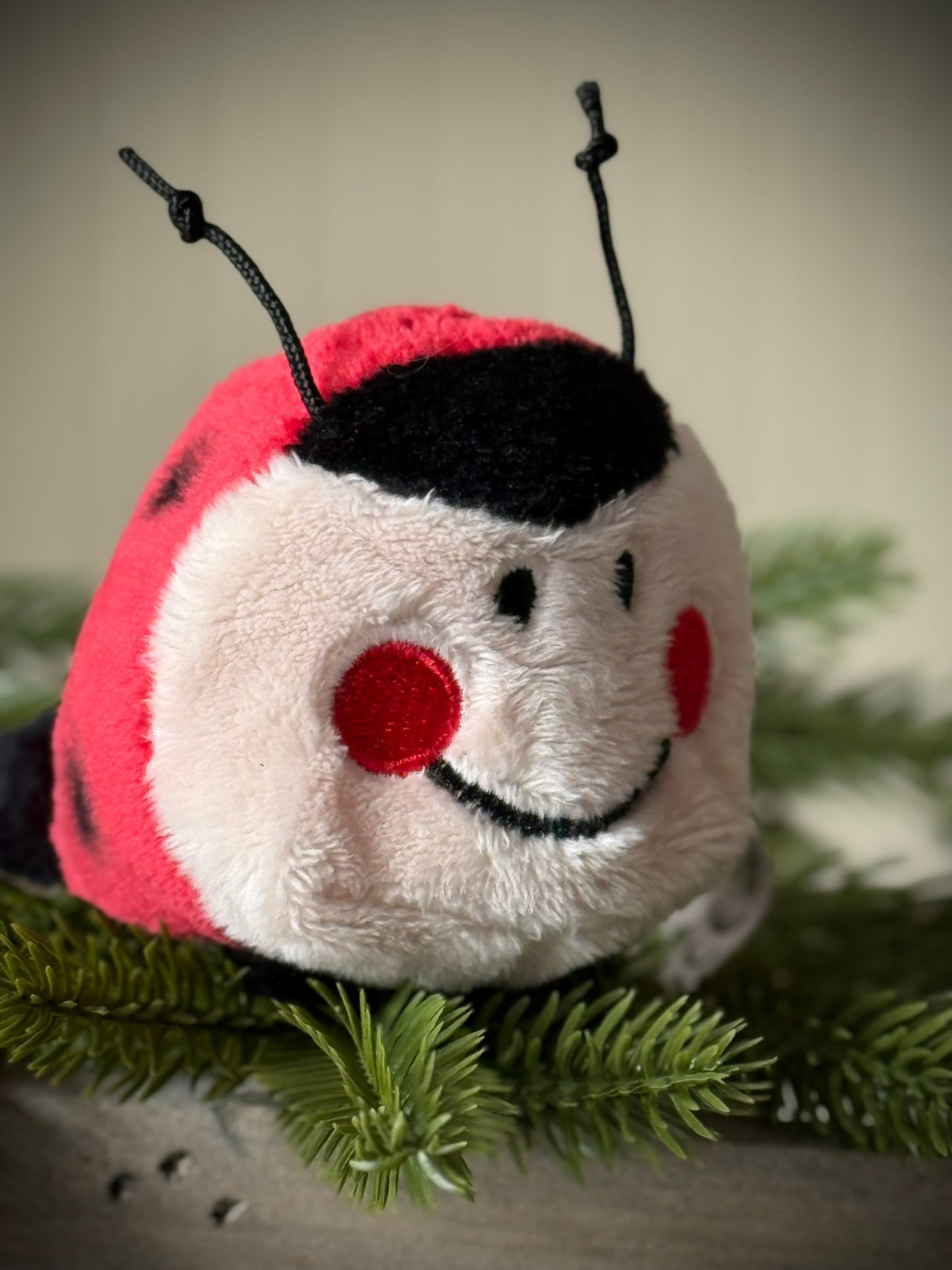 Minifeet Lieveheersbeestje - "Make your own luck"