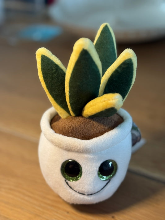 Schmoozies® Evergreenies® Bow Hemp - "Never stop growing"